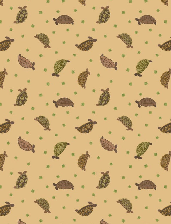 SALE “Small Things Pet” Tortoises on Sand Background